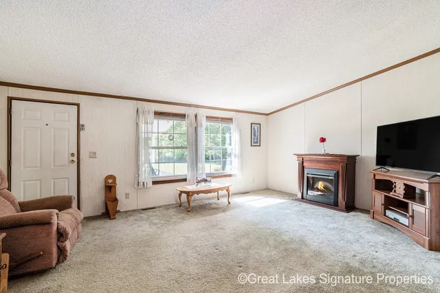 $250,000 | 16856 West Stanton Road, Trufant, MI 49347