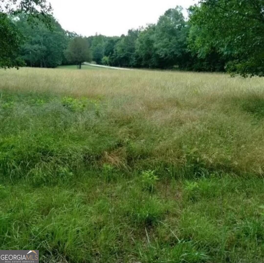 670 Cedar Grove Church Road Winder, GA 30680 - Photo 48 of 61