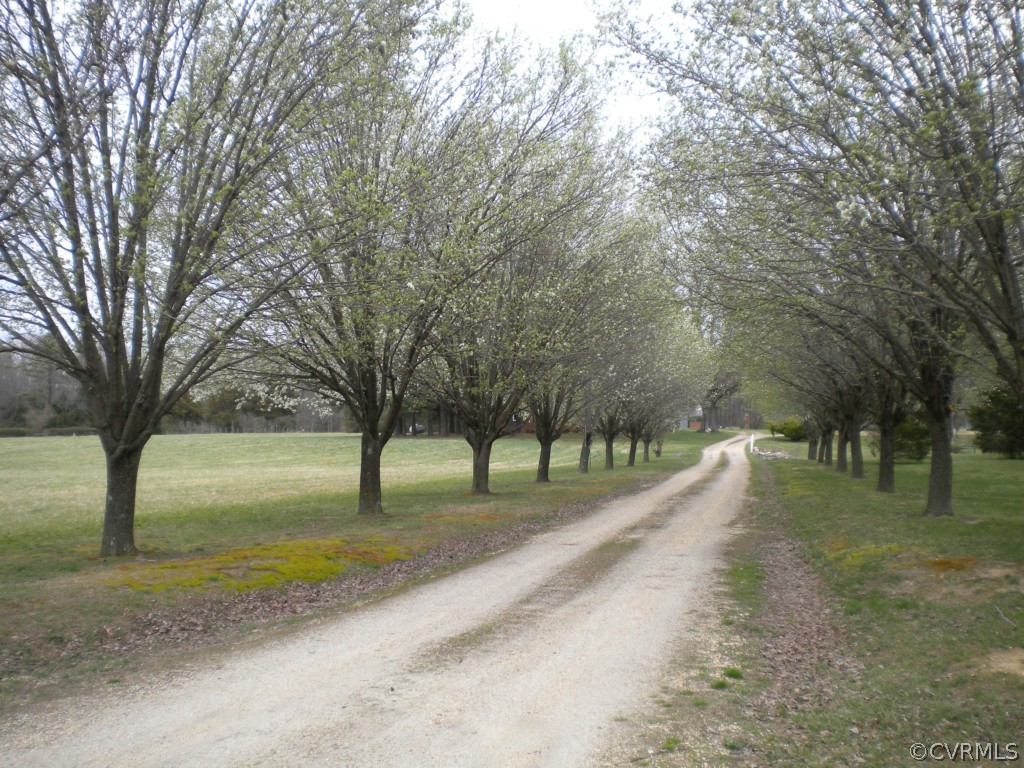 14314 Blunts Bridge Road Ashland, VA 23005 - Photo 11 of 16 Driveway on approach to the house. Imagine how lo