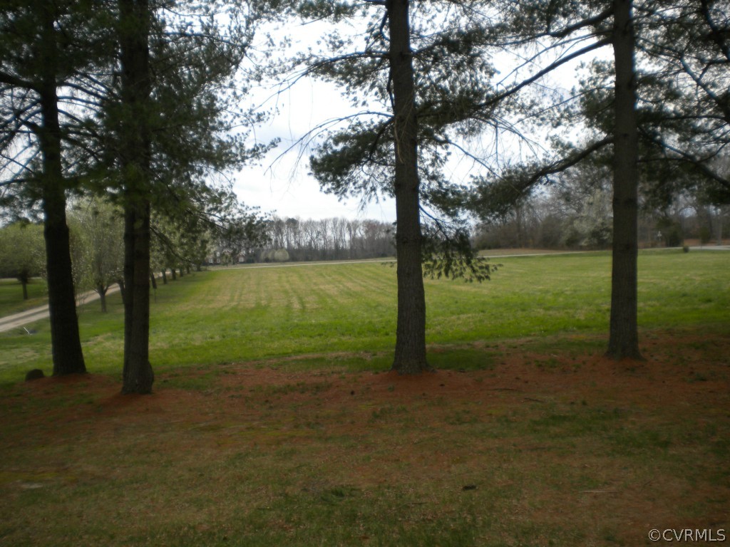 14314 Blunts Bridge Road Ashland, VA 23005 - Photo 12 of 16 View facing front toward Blunts Bridge Road from t