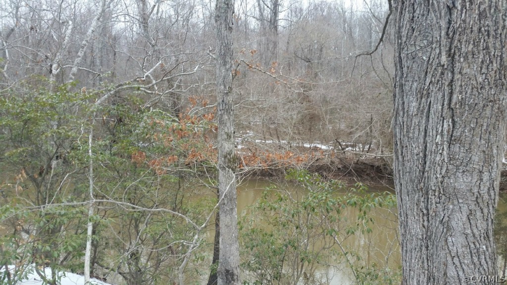 14314 Blunts Bridge Road Ashland, VA 23005 - Photo 15 of 16 View to the left on river bank