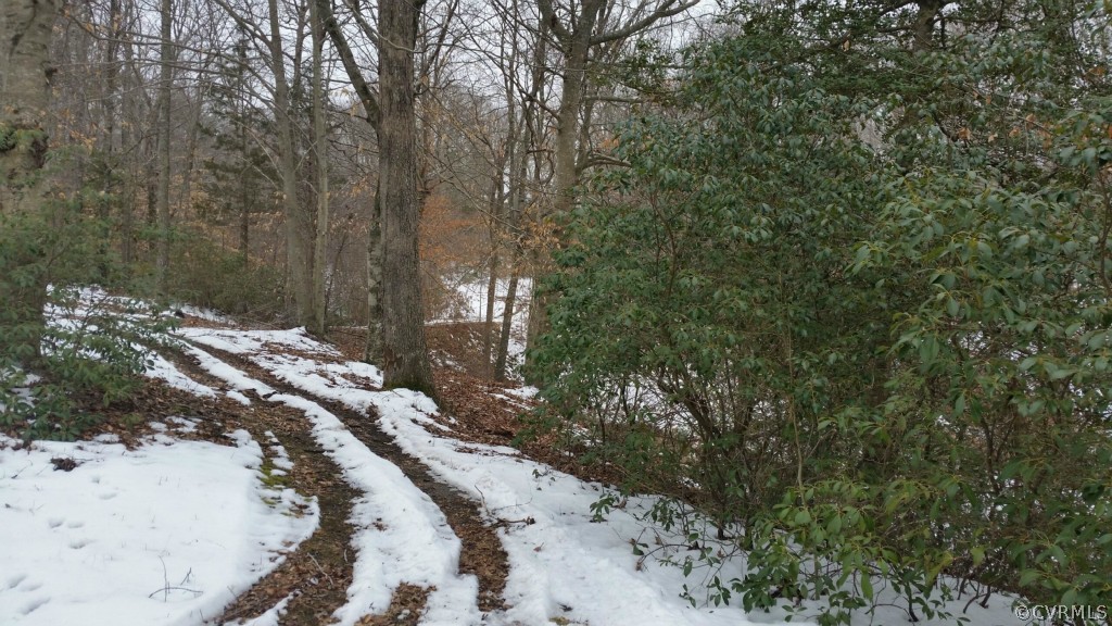 14314 Blunts Bridge Road Ashland, VA 23005 - Photo 16 of 16 Pathway to river, facing back toward house