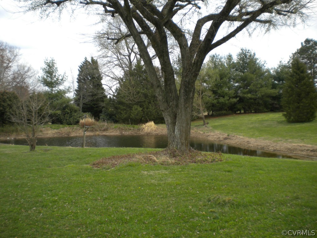 14314 Blunts Bridge Road Ashland, VA 23005 - Photo 8 of 16 The pond