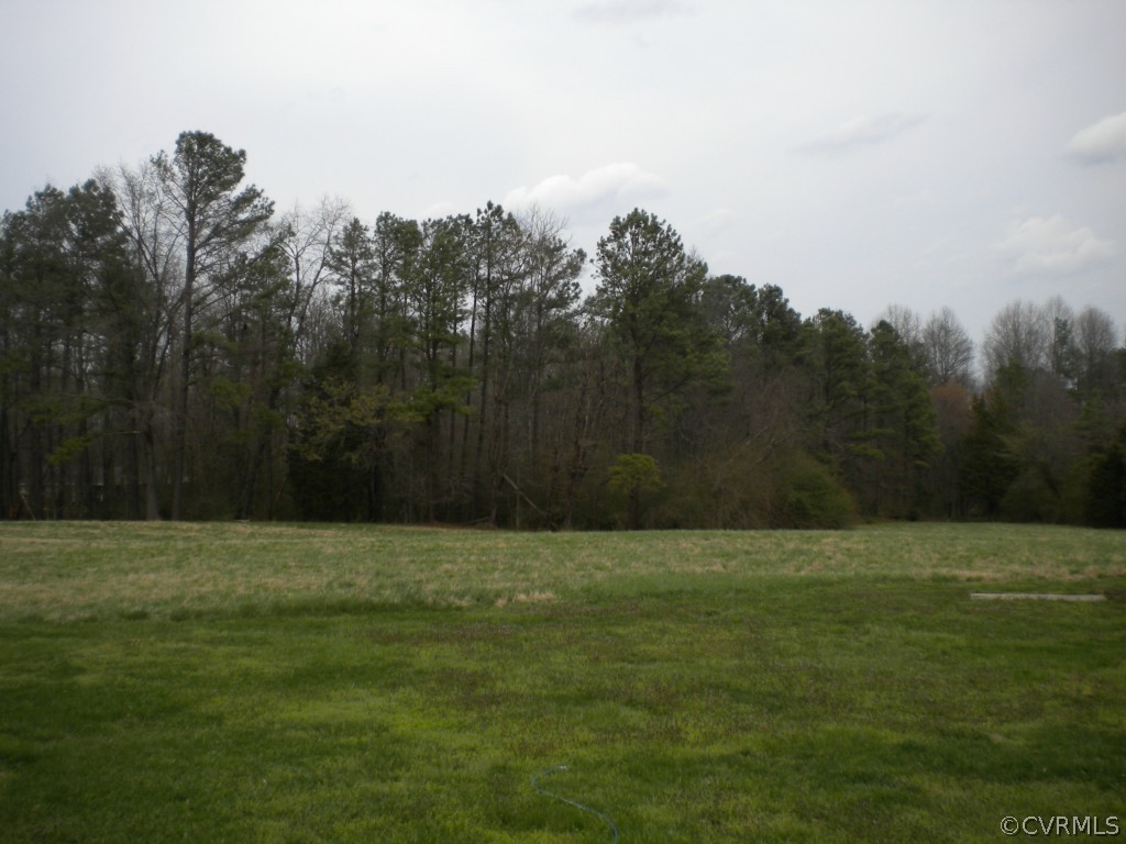 14314 Blunts Bridge Road Ashland, VA 23005 - Photo 10 of 16 View facing rear