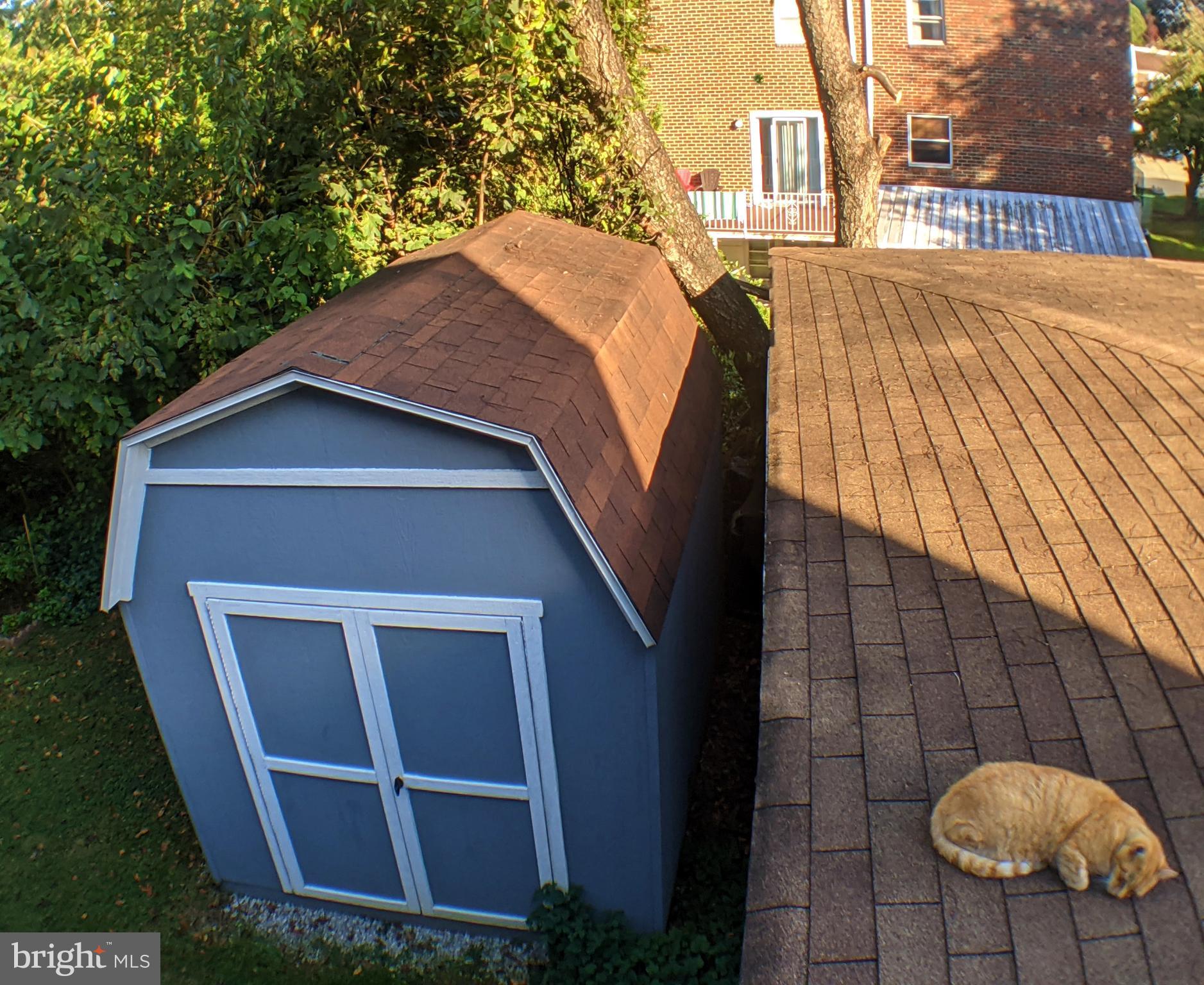 11815 Lockart Road Philadelphia, PA 19116 - Photo 19 of 25 New Large Blue Shed (cat not incl.)