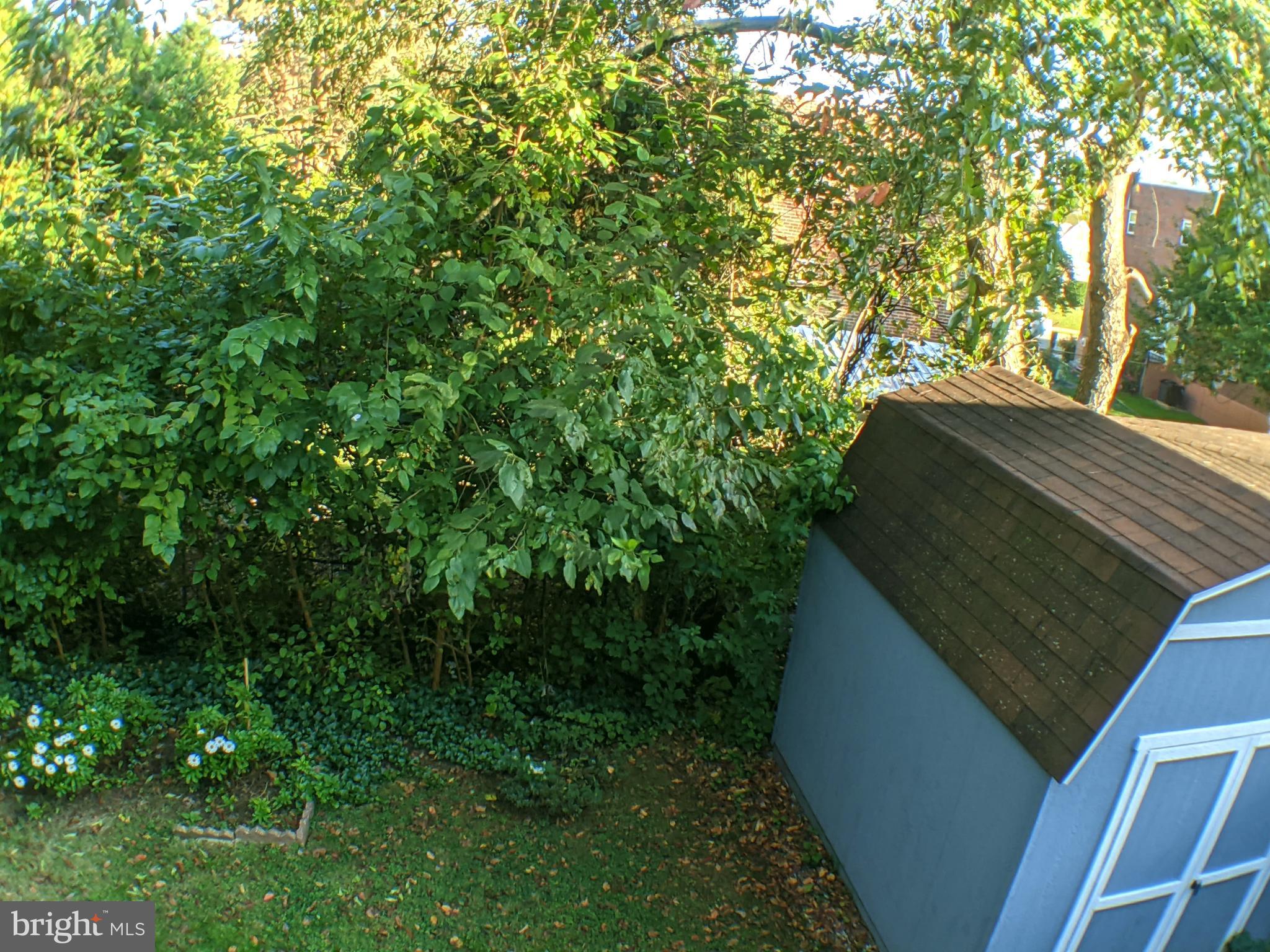 11815 Lockart Road Philadelphia, PA 19116 - Photo 20 of 25 Large Blue Shed/Many Trees