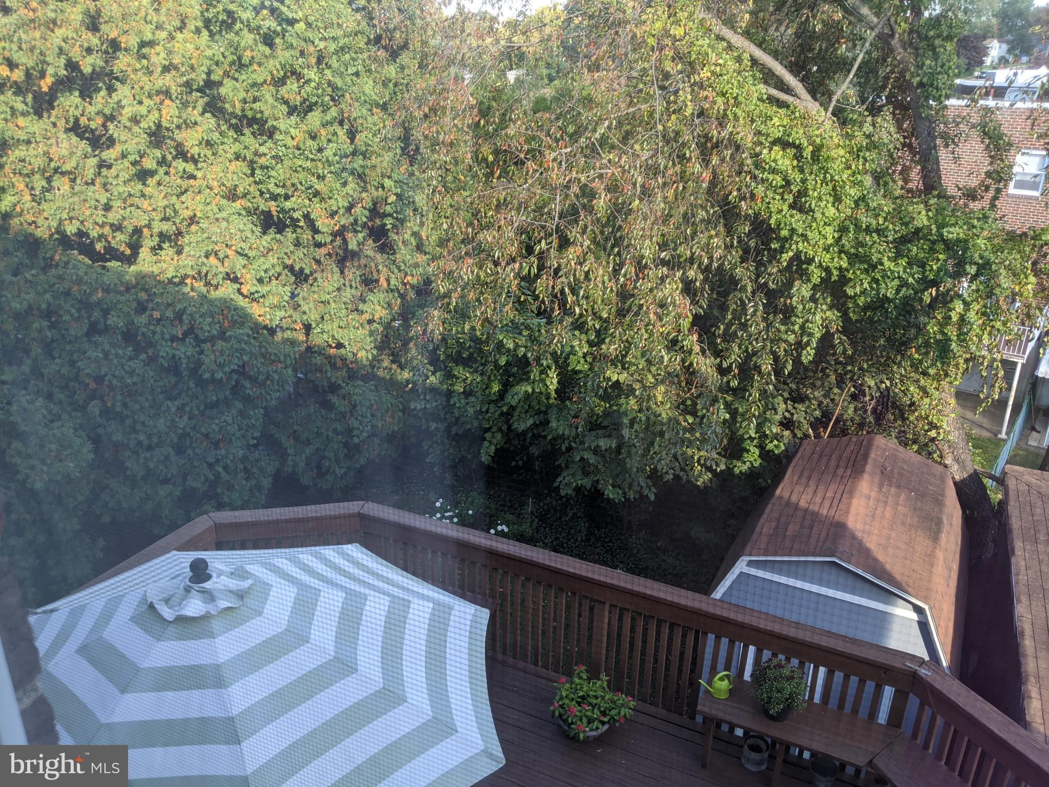 11815 Lockart Road Philadelphia, PA 19116 - Photo 25 of 25 Gorgeous View from the Primary Bedroom!