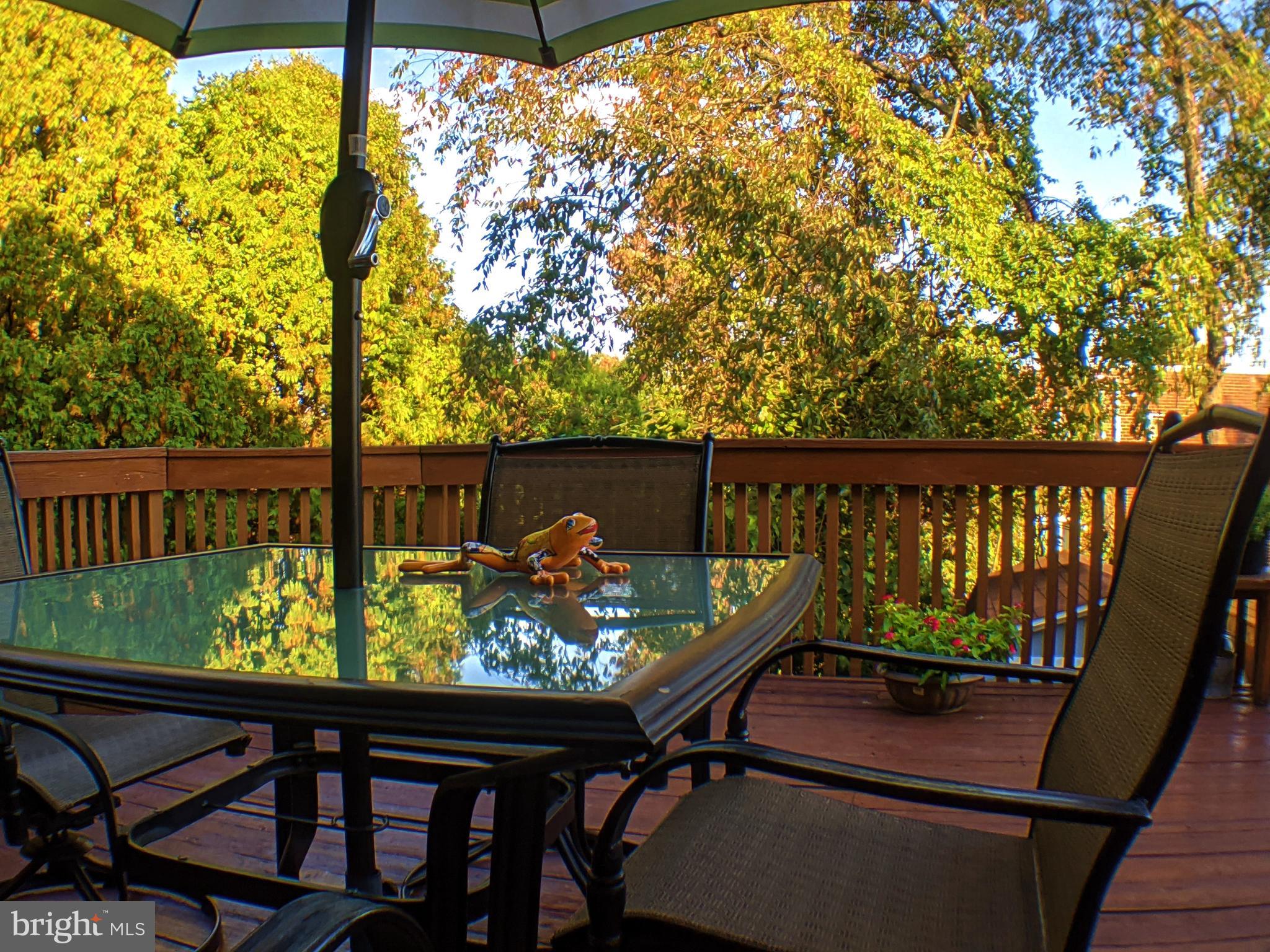 11815 Lockart Road Philadelphia, PA 19116 - Photo 9 of 25 Balcony-level Deck