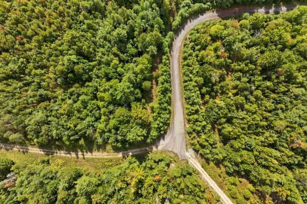 $39,900 | Lot 2 Morel Road, Lancaster, NH 03584