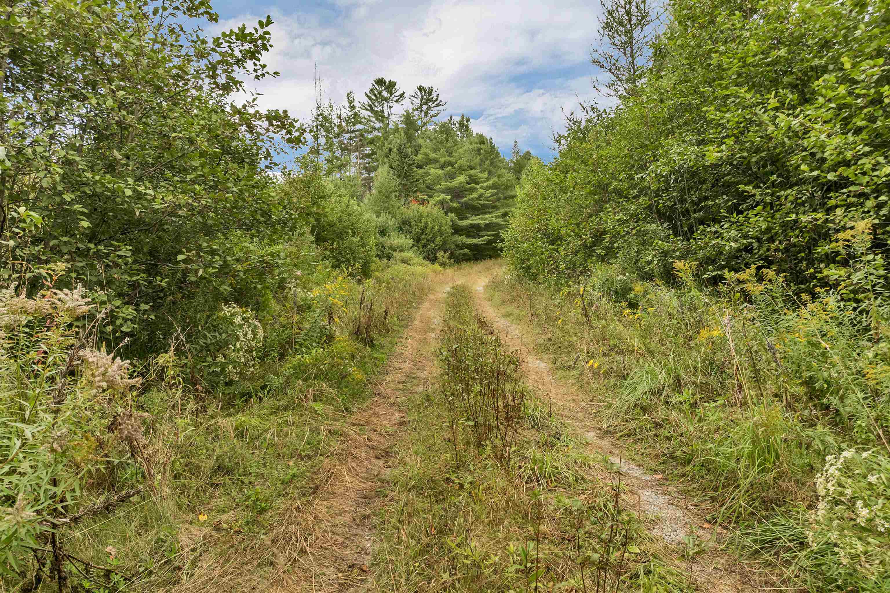 Lot 2 Morel Road Lancaster, NH 03584 - Photo 18 of 51