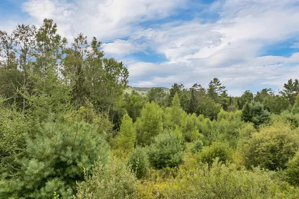 $39,900 | Lot 2 Morel Road, Lancaster, NH 03584