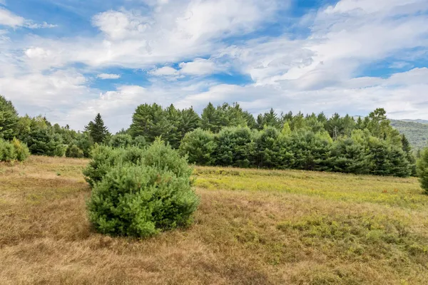 $39,900 | Lot 2 Morel Road, Lancaster, NH 03584