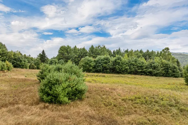 $39,900 | Lot 2 Morel Road, Lancaster, NH 03584
