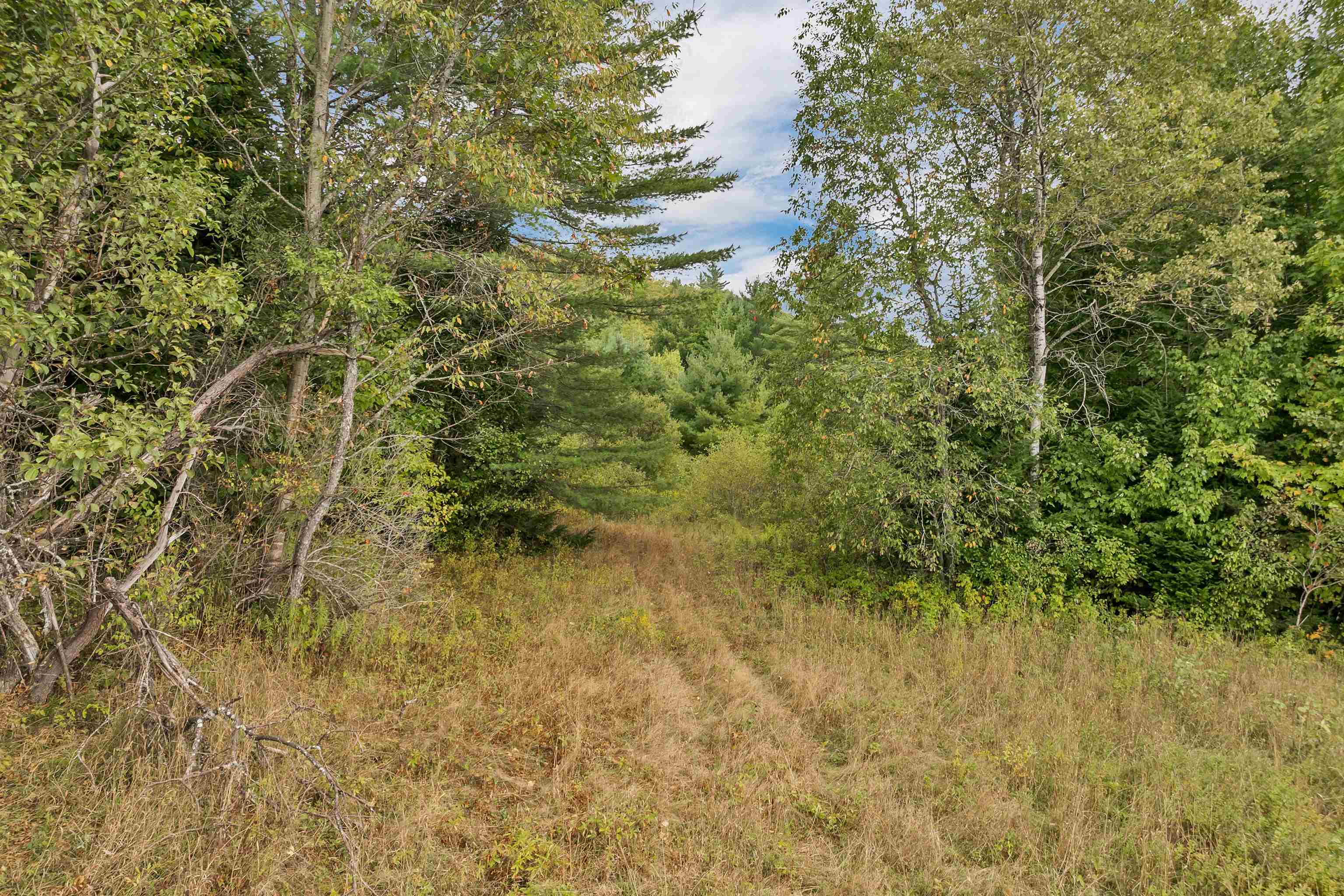 Lot 2 Morel Road Lancaster, NH 03584 - Photo 30 of 51