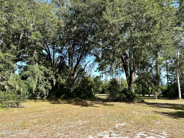 a view of a yard with a trees