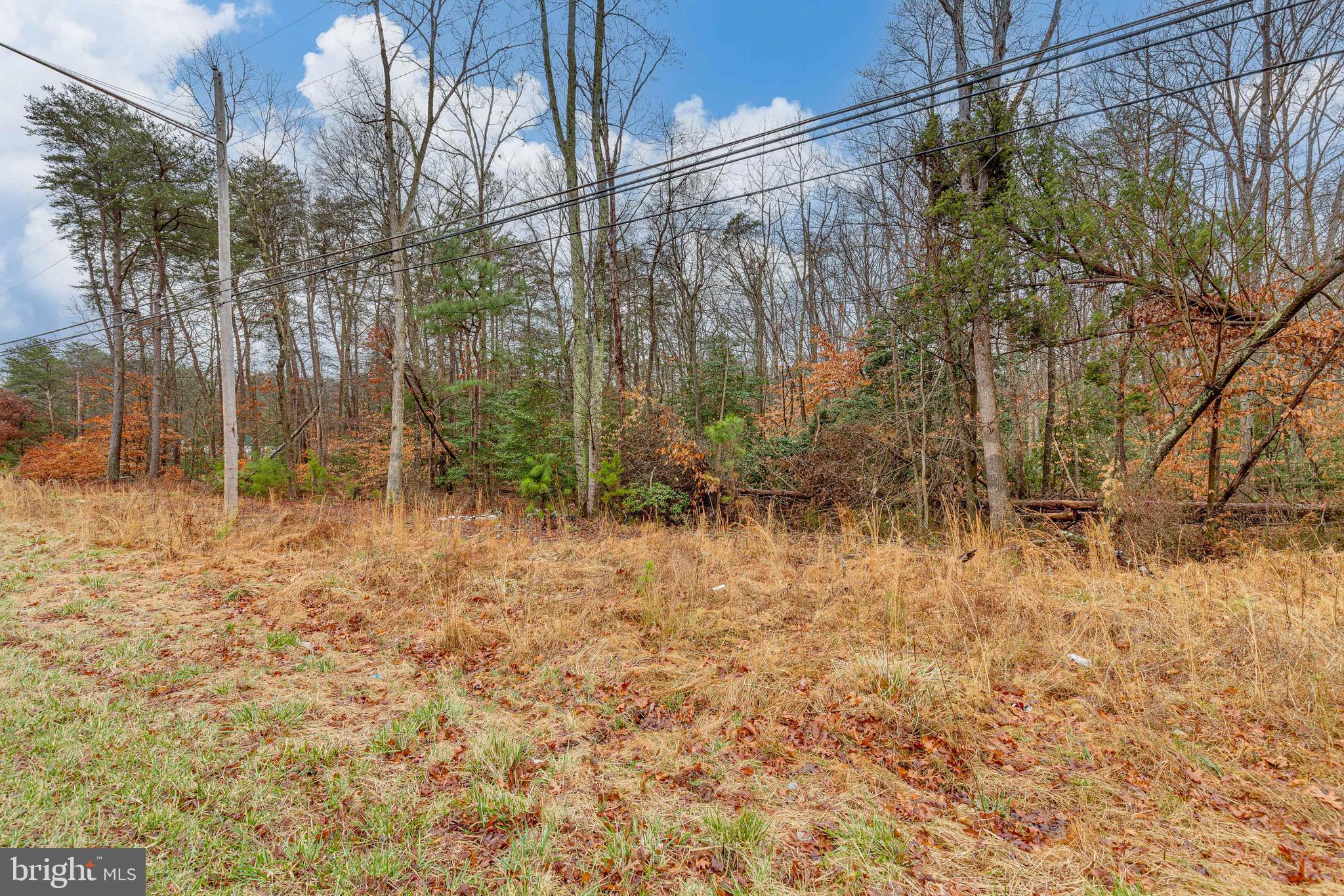 14703 South Springfield Road Brandywine, MD 20613 - Photo 3 of 7 Gallery Image 3