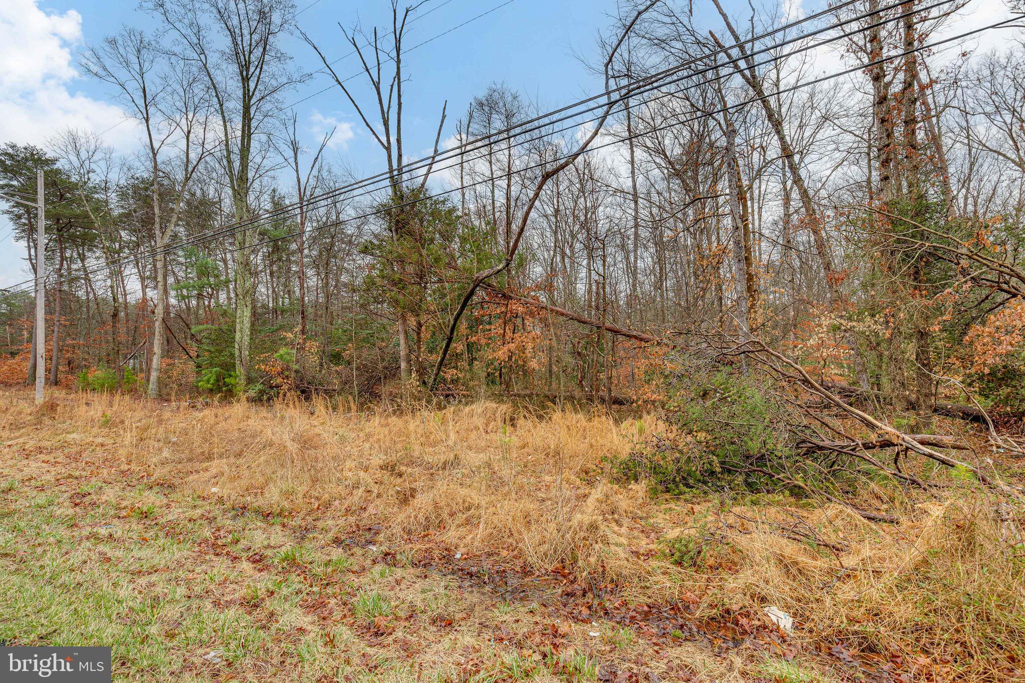 14703 South Springfield Road Brandywine, MD 20613 - Photo 4 of 7 Gallery Image 4