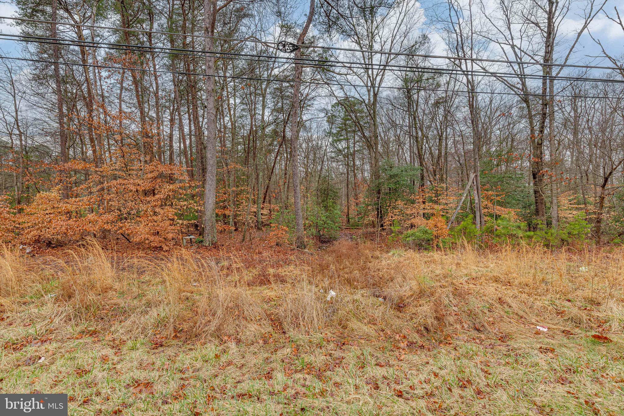14703 South Springfield Road Brandywine, MD 20613 - Photo 7 of 7 Gallery Image 7