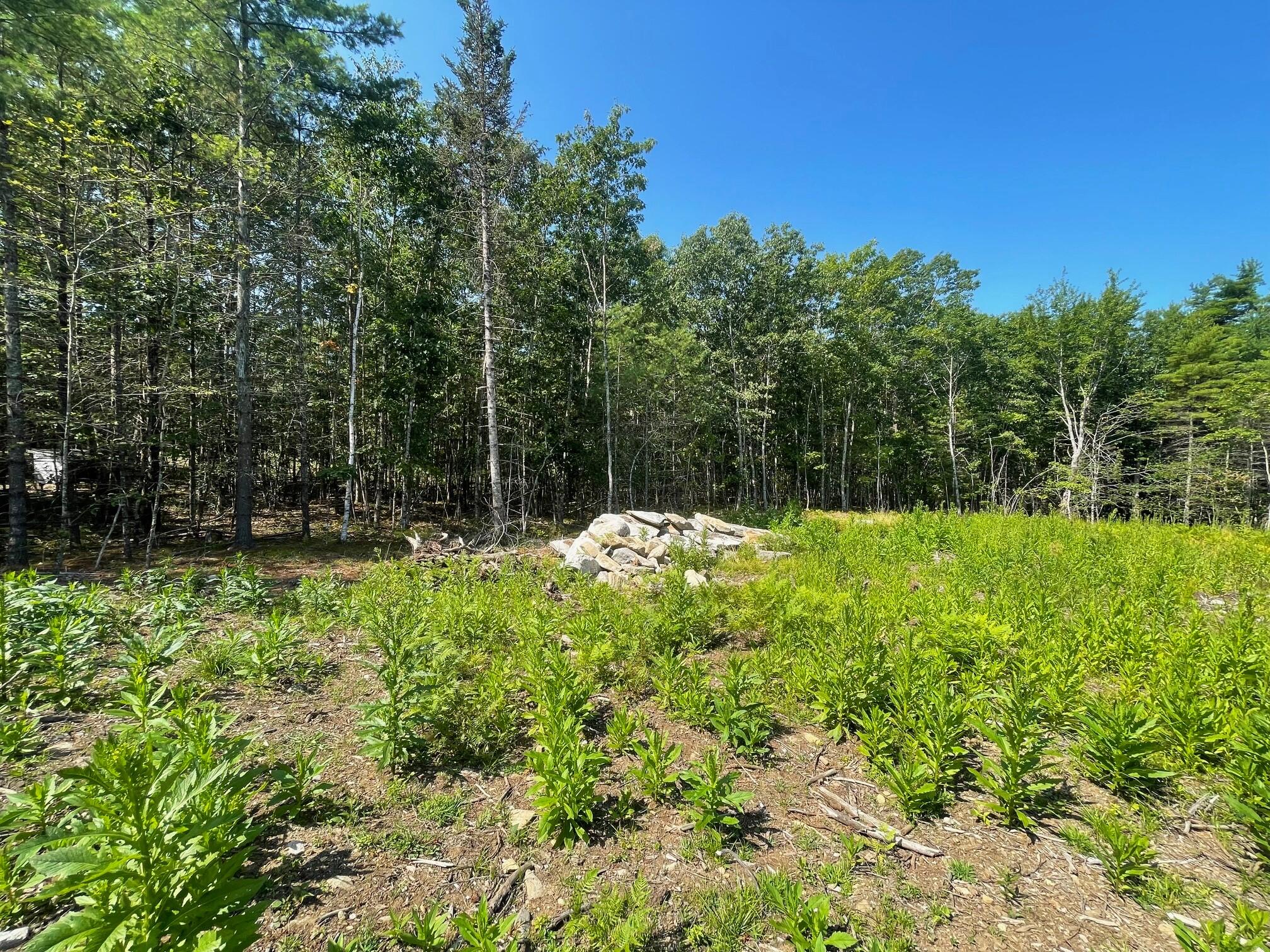 688 Benner Road Bristol, ME 04539 - Photo 9 of 17 IMG_6534