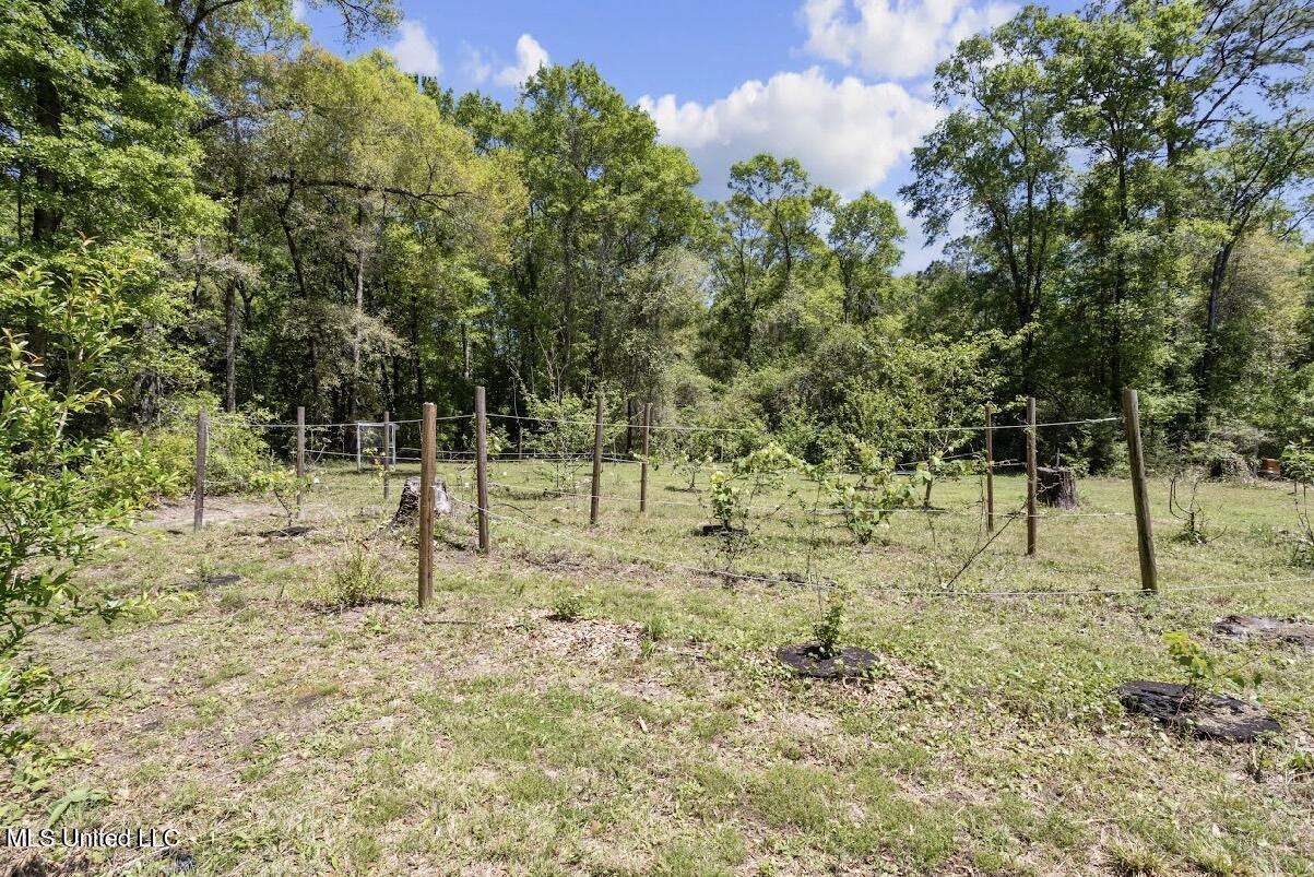 13217 Ware Lake Road Vancleave, MS 39565 - Photo 26 of 53 IMG_5653