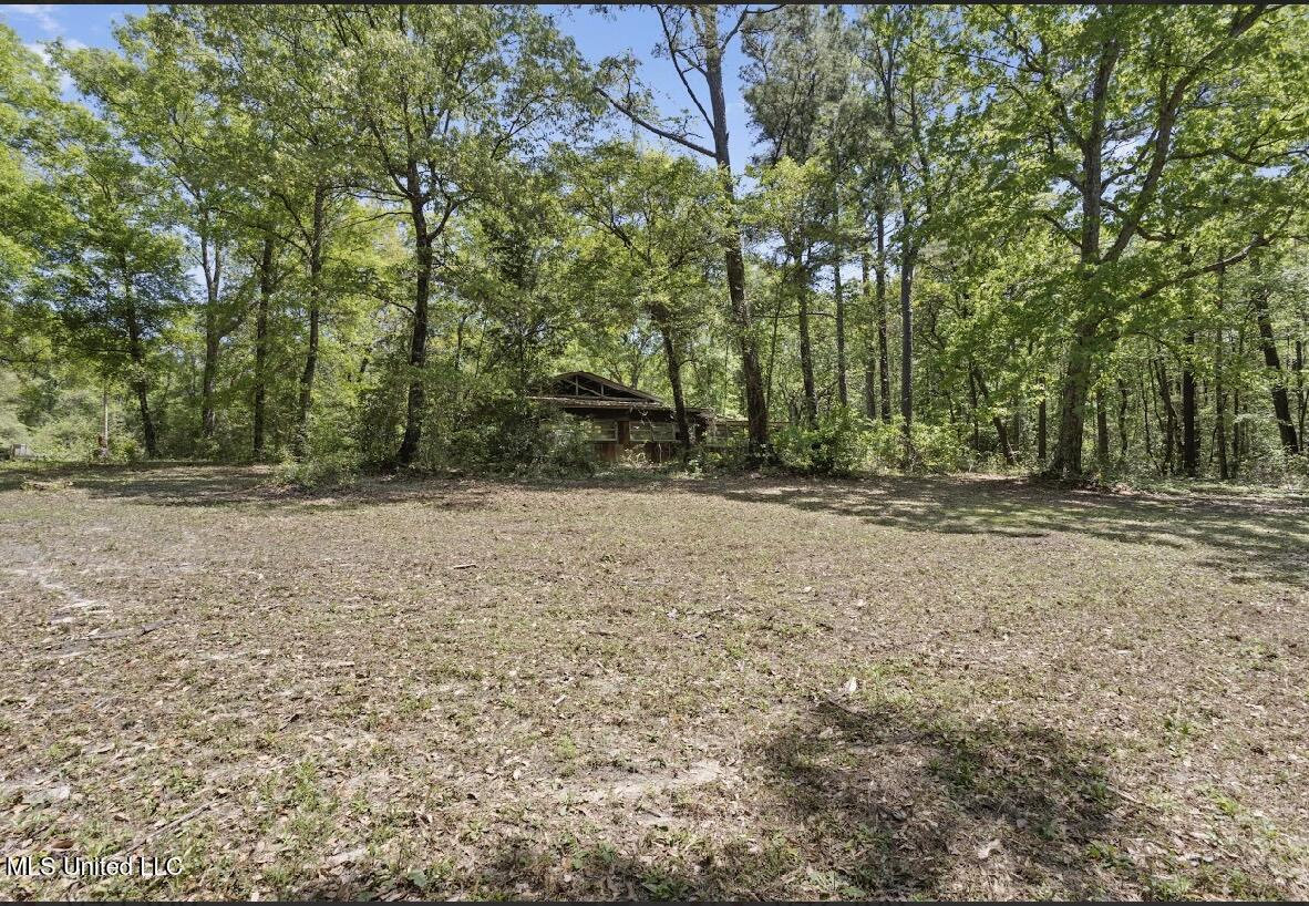 13217 Ware Lake Road Vancleave, MS 39565 - Photo 49 of 53 IMG_5691