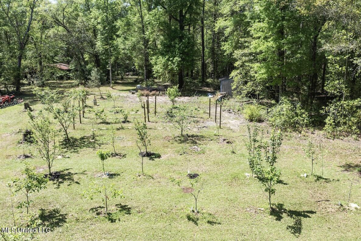 13217 Ware Lake Road Vancleave, MS 39565 - Photo 7 of 53 IMG_5634