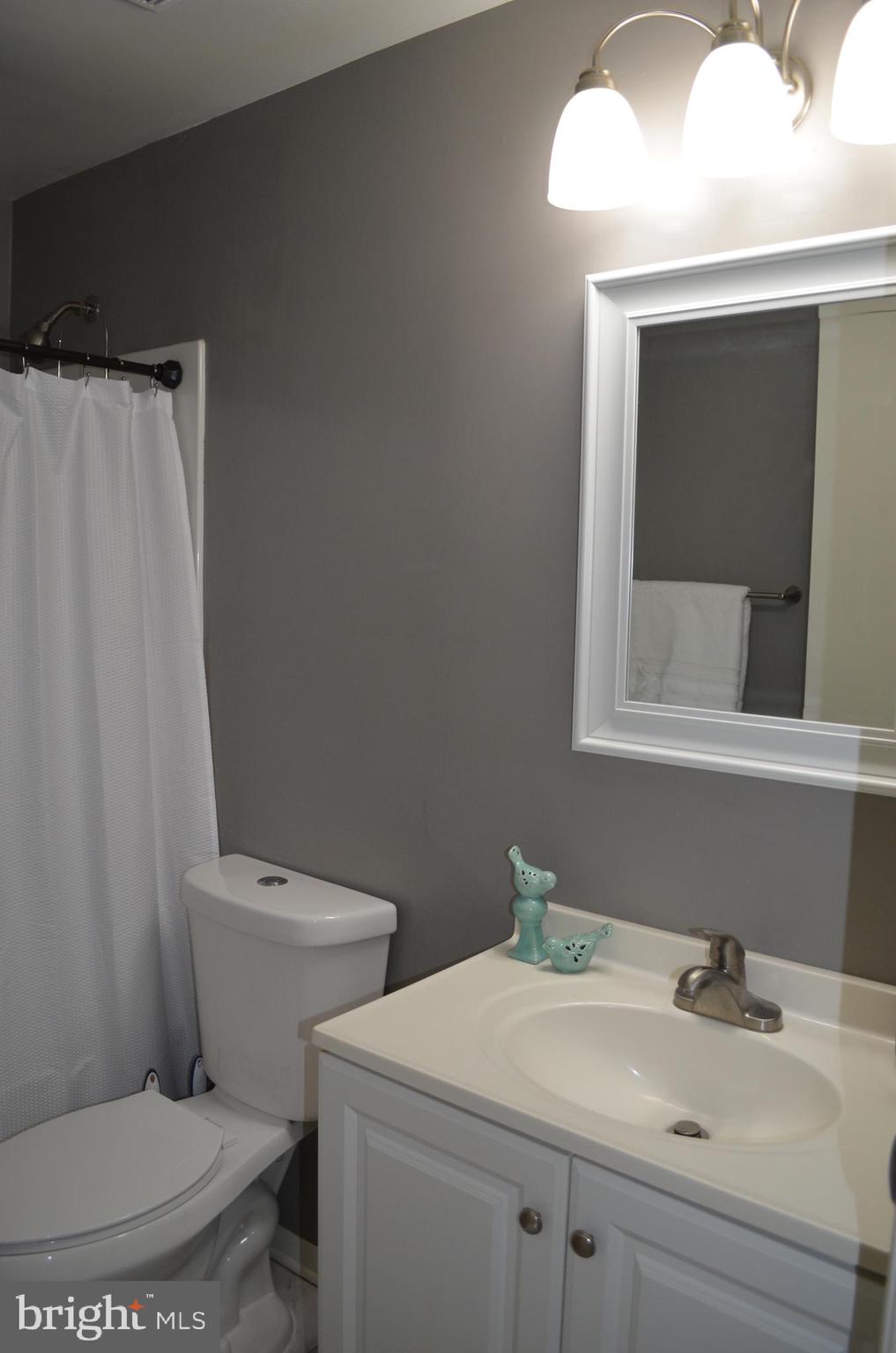 1739 Northridge Lane Frederick, MD 21702 - Photo 24 of 45 a bathroom with a sink toilet and mirror