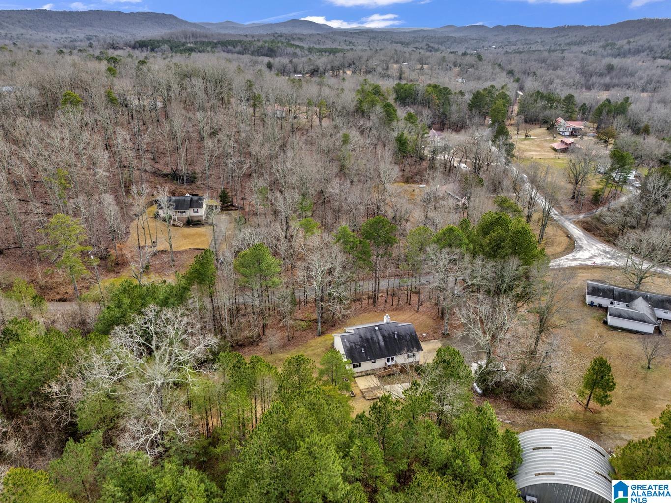 21 Easter Road Remlap, AL 35133 - Photo 43 of 45 Gallery Image 43
