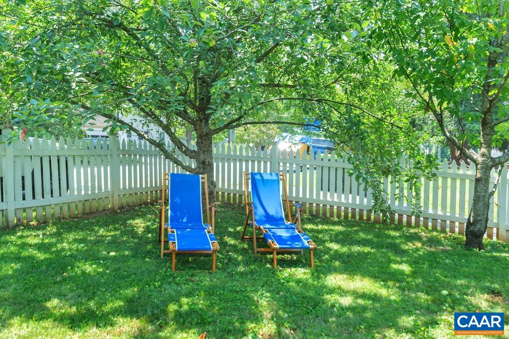 1500 Rugby Avenue Charlottesville, VA 22903 - Photo 47 of 50 a garden view