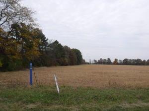 0 Brindle Road, Unit TRACT 16 Ostrander, OH 43061 - Photo 2 of 4