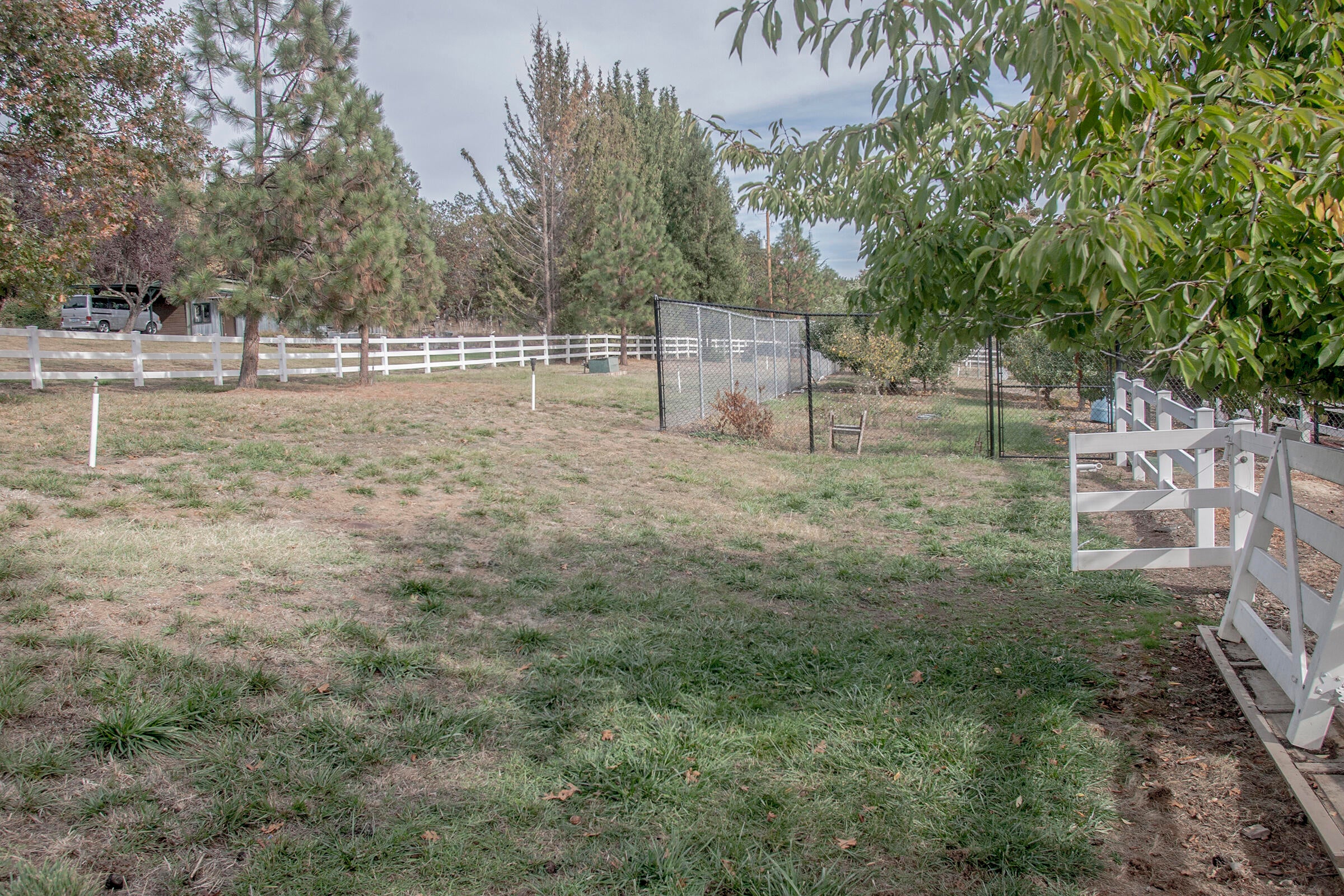 6554 Pioneer Road Medford, OR 97501 - Photo 43 of 50 Pasture