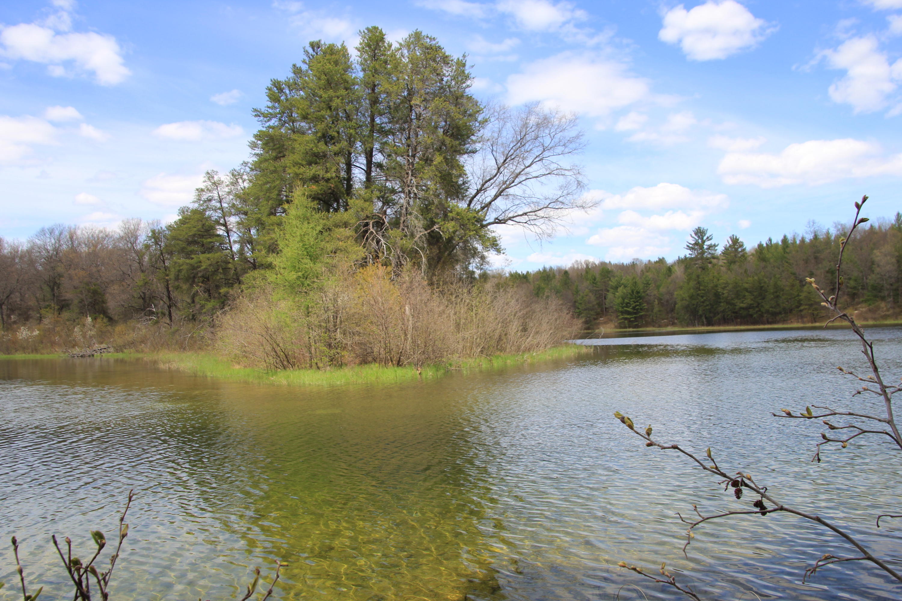 North Skeel Road Curran, MI 48728 - Photo 26 of 36 Gallery Image 26