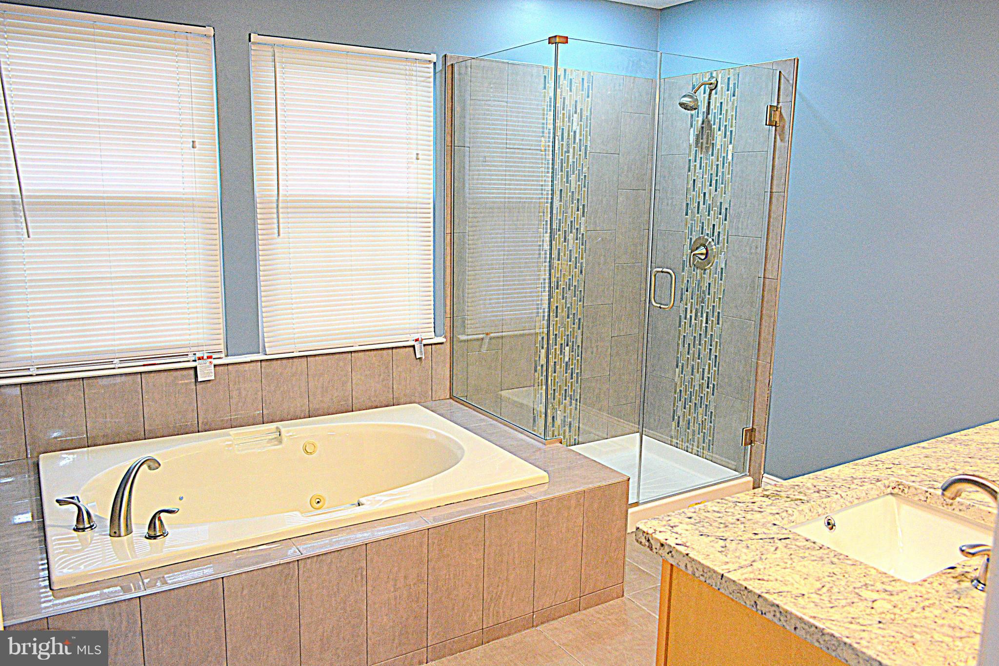 8620 Windmill Road Randallstown, MD 21133 - Photo 11 of 23 Bath (Master)