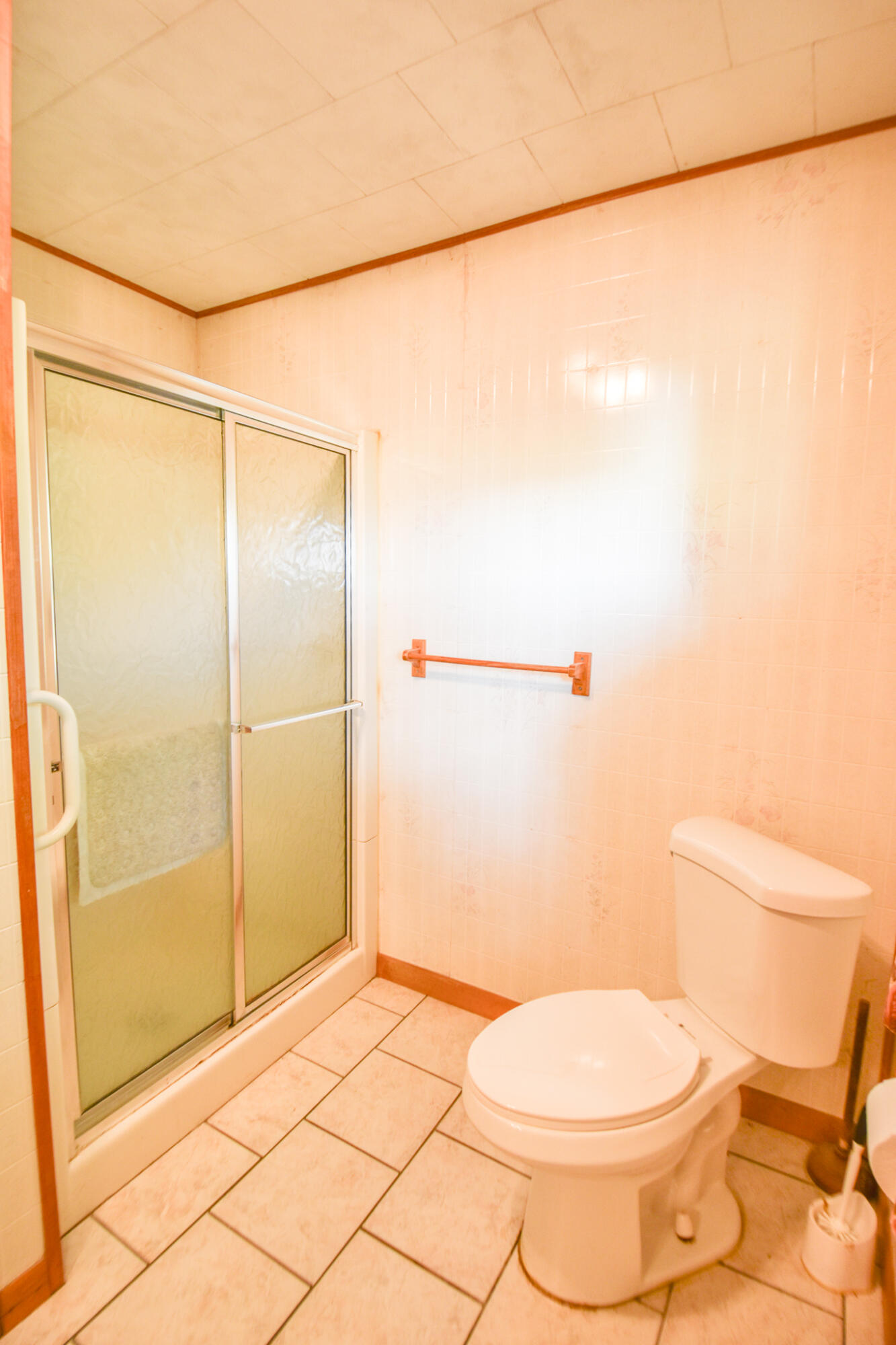 481 Quimby Road Coldwater, MI 49036 - Photo 26 of 42 DSC_0028