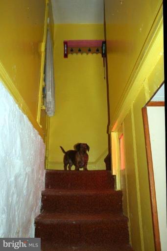 Basement #3