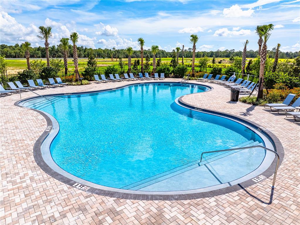 12411 Gust Court Hudson, FL 34669 - Photo 42 of 45