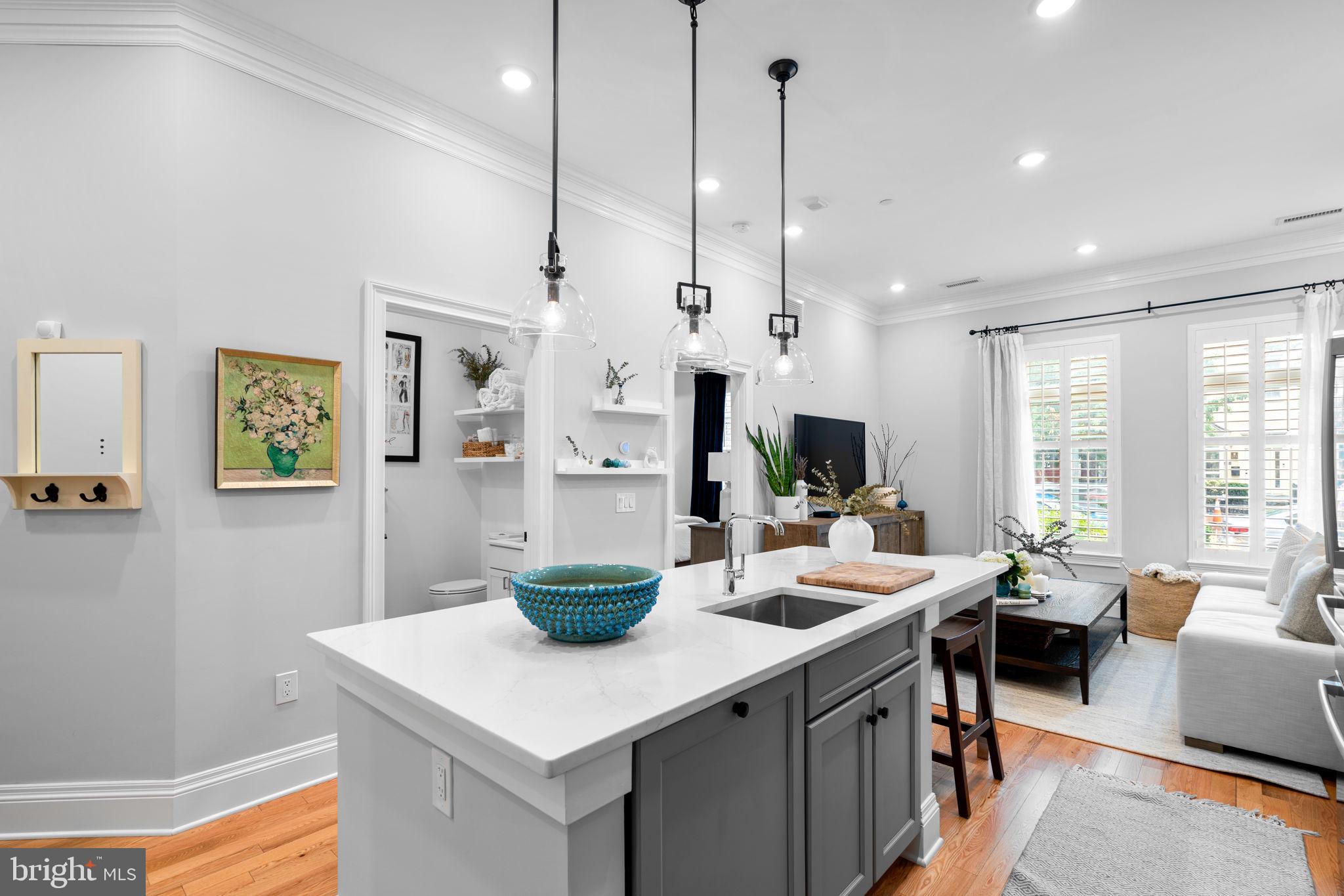 300 8th Street Northeast, Unit 102 Washington, DC 20002 - Photo 16 of 29 a room with stainless steel appliances kitchen island granite countertop a table chairs and a view of living room