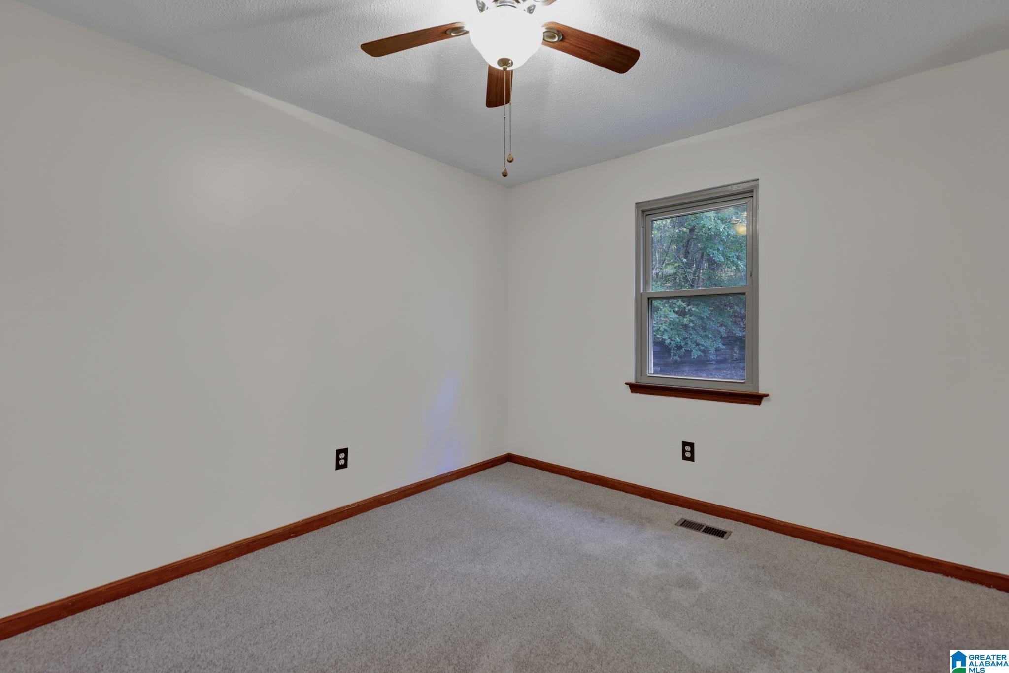 6621 Old Springville Road Pinson, AL 35126 - Photo 13 of 21