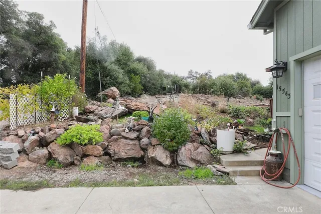a view of a garden with potted plants