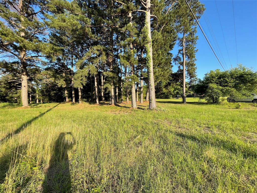601 Cemetery Road Springhill, LA 71075 - Photo 2 of 2 Grassy terrain with mature pine trees and clear skies