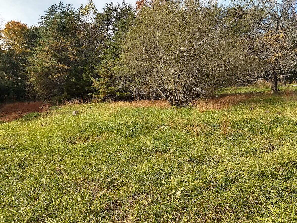 45 Ruby Lane Rocky Mount, VA 24151 - Photo 1 of 3 Land