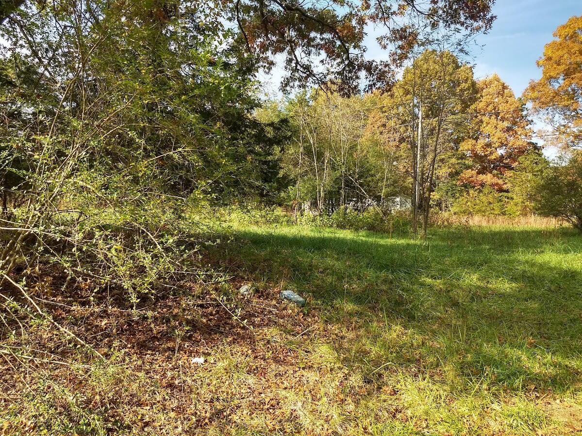 45 Ruby Lane Rocky Mount, VA 24151 - Photo 3 of 3 Land