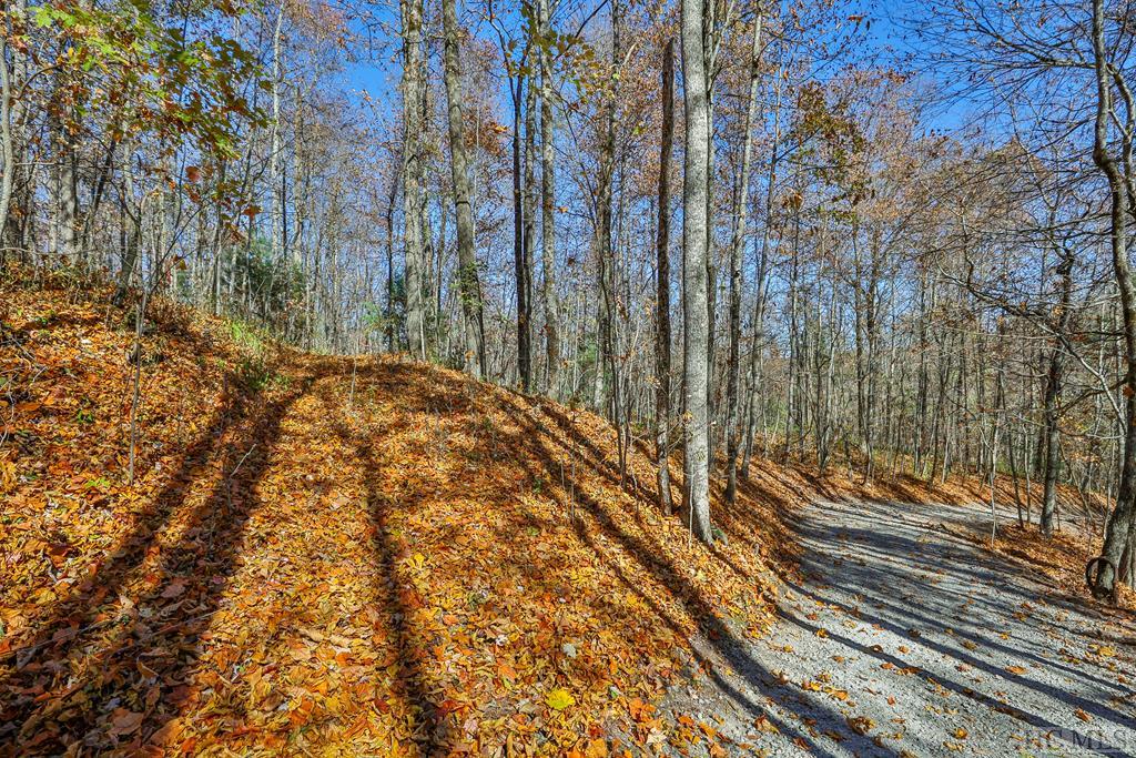 Tbd Buck Knob Road Highlands, NC 28741 - Photo 4 of 13 Gallery Image 4