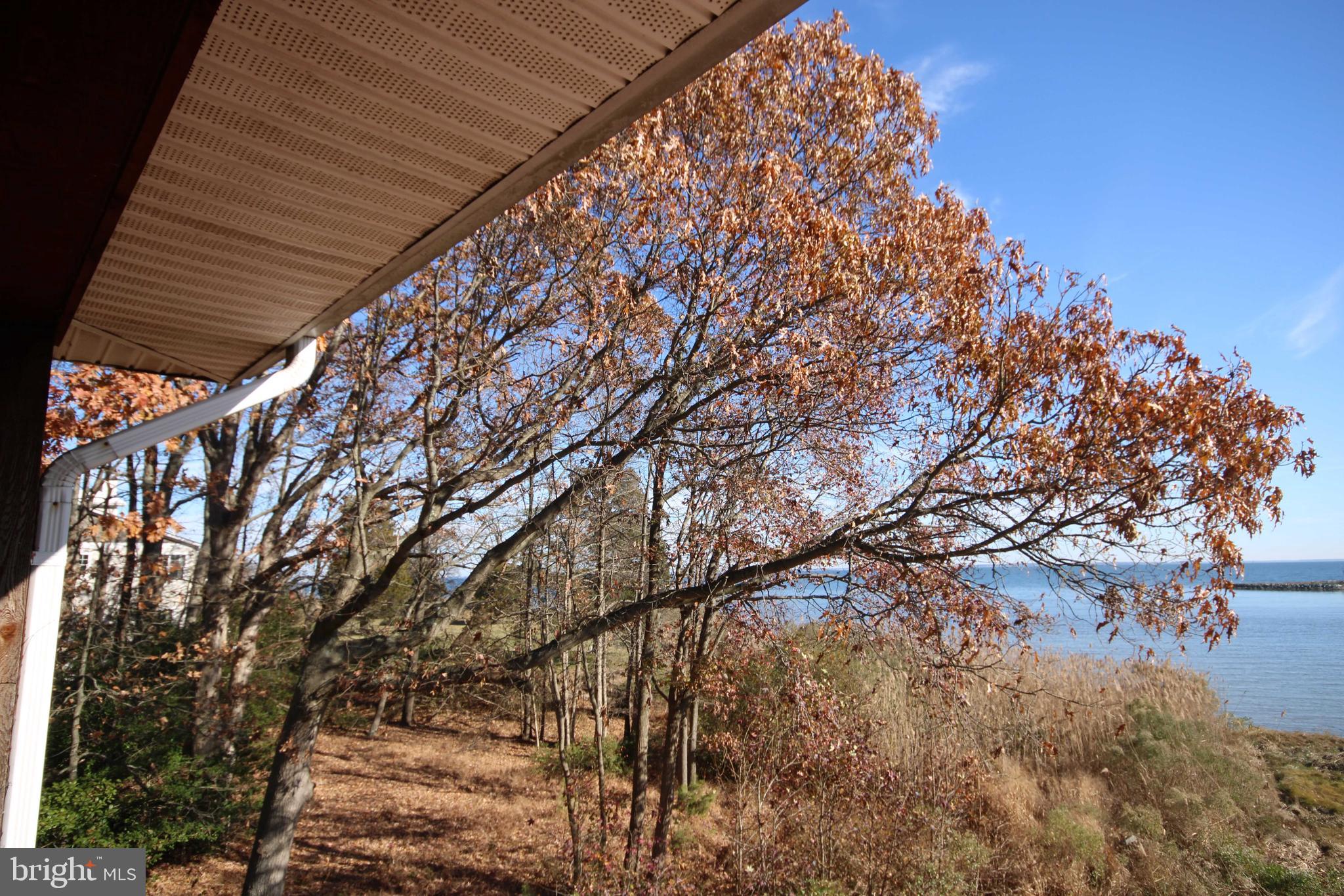 4831 Idlewilde Road Shady Side, MD 20764 - Photo 6 of 27 View from Primary Bedroom Deck