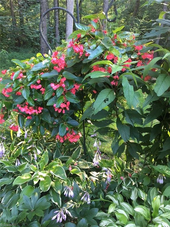 221 Redfield Road Mocksville, NC 27028 - Photo 37 of 37