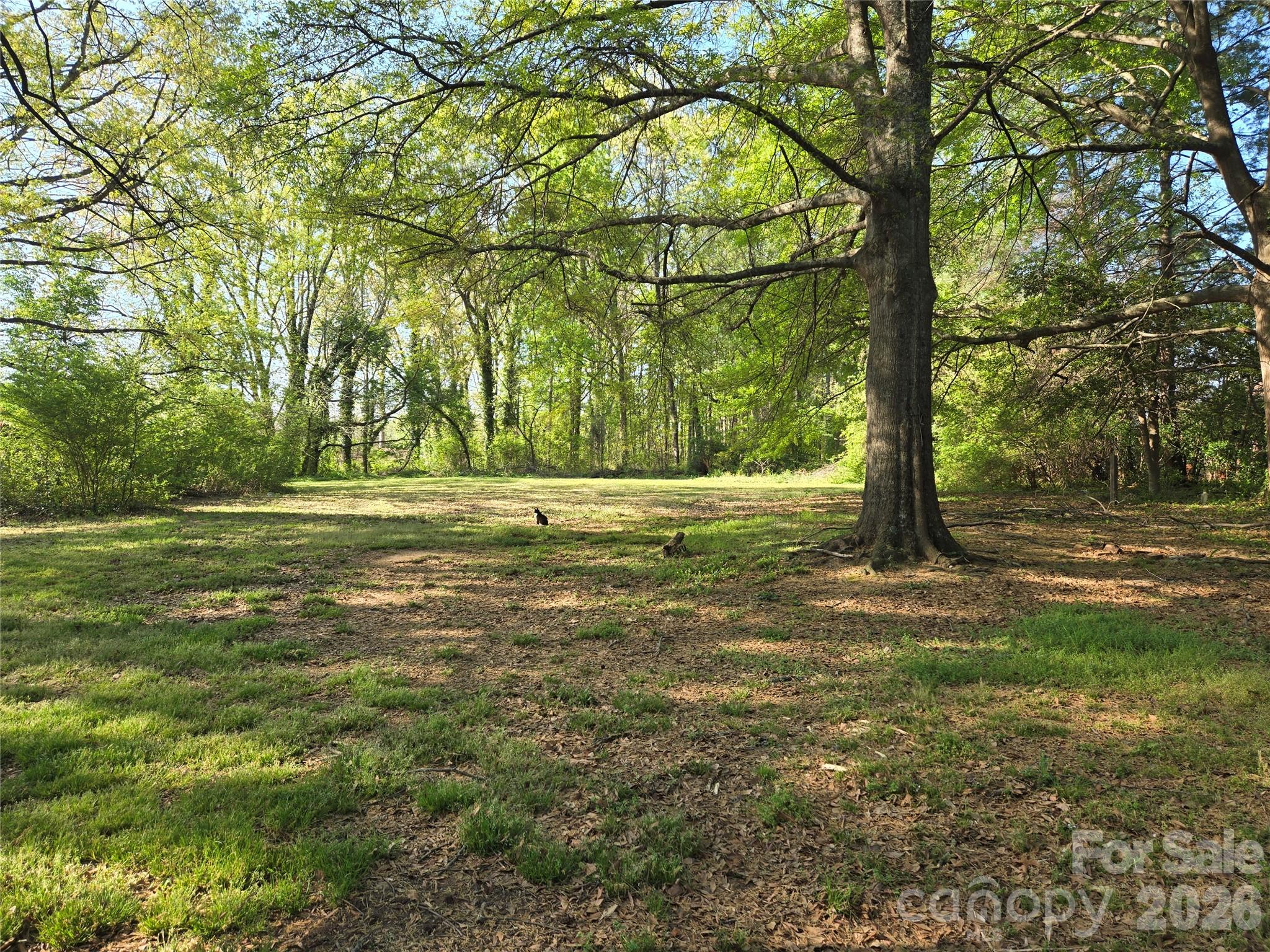 804 Emmanuel Church Road Conover, NC 28613 - Photo 6 of 36