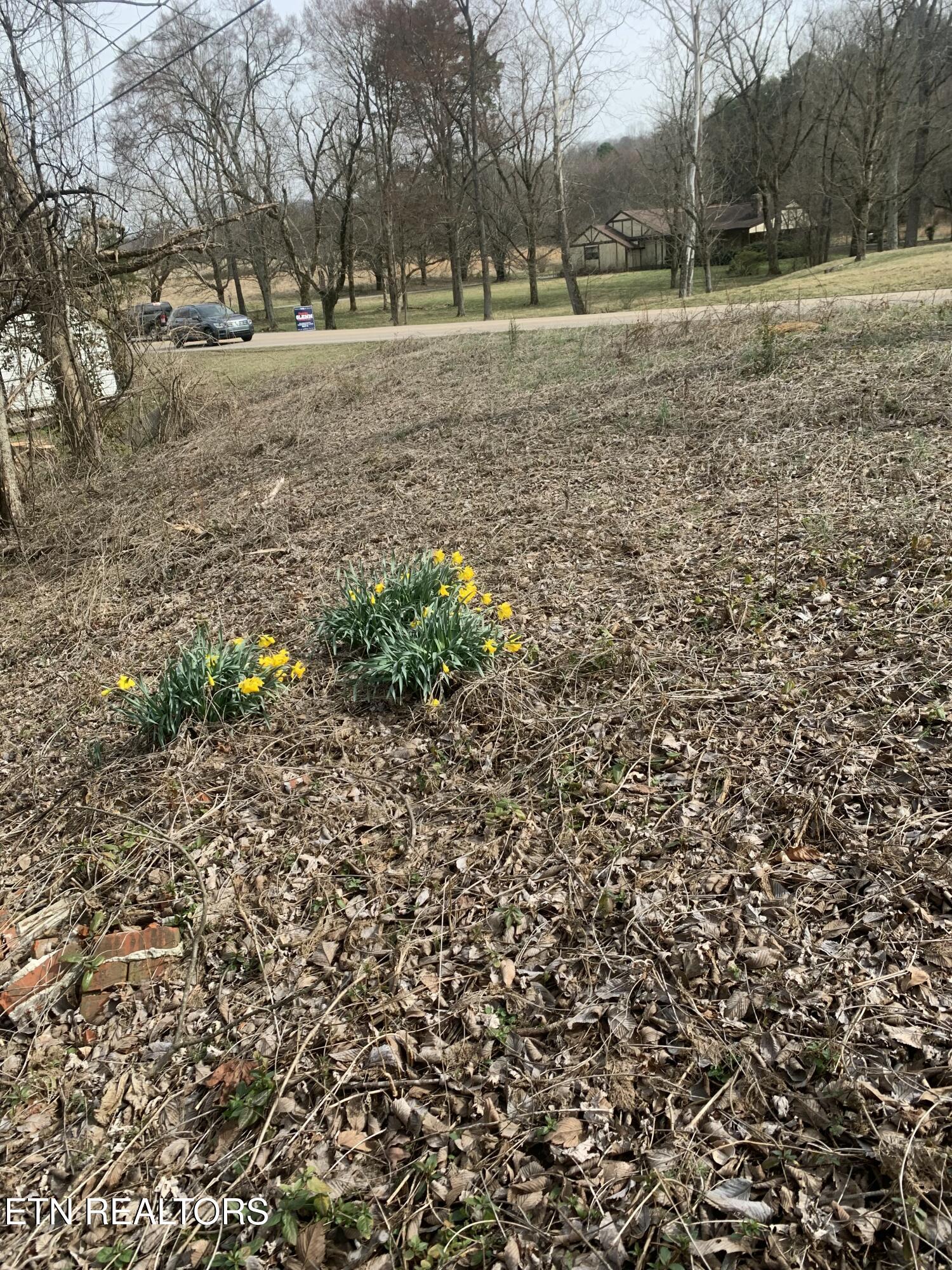 2711 Cunningham Road Knoxville, TN 37918 - Photo 1 of 4 79365145115__C53E7B0D-C008-427B-A941-06E