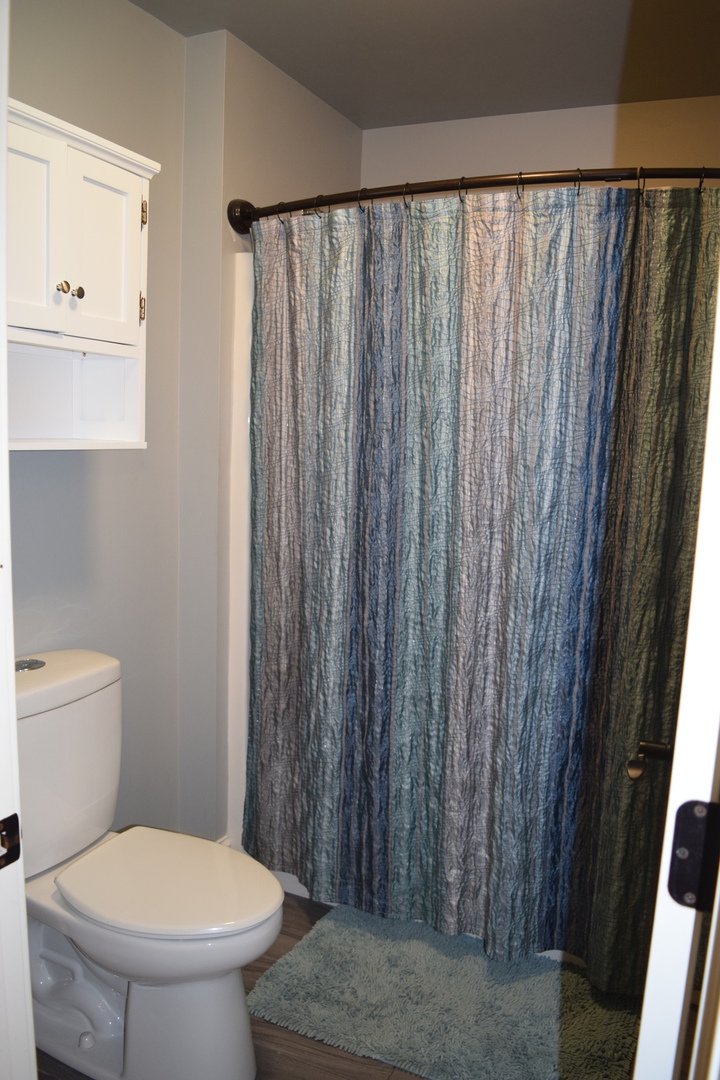 3003 Wayland Avenue Elgin, IL 60124 - Photo 24 of 32 a white toilet sitting next to a shower curtain