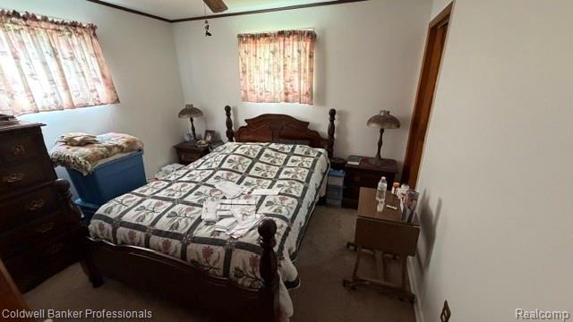 3595 Hutchinson Road North Branch, MI 48461 - Photo 17 of 23