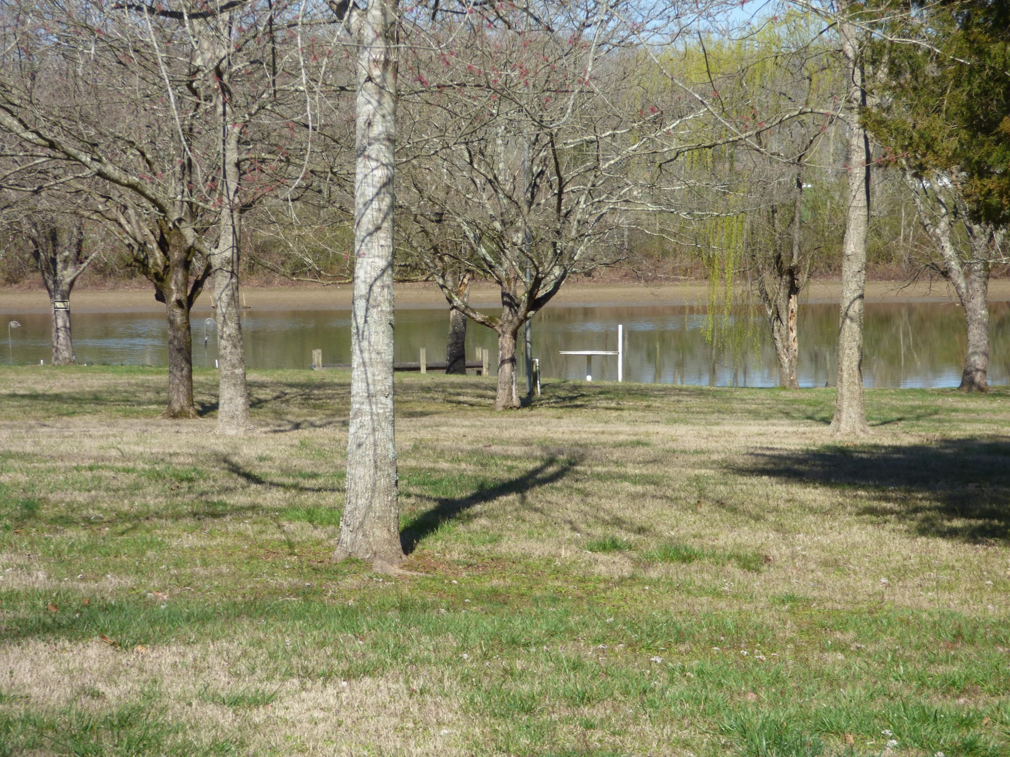 395 Matlock Shores Road Loudon, TN 37774 - Photo 5 of 17 a view of yard with trees